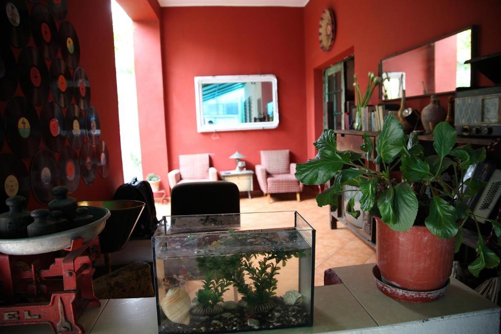 Trip'N'Hostel Тирана Екстериор снимка